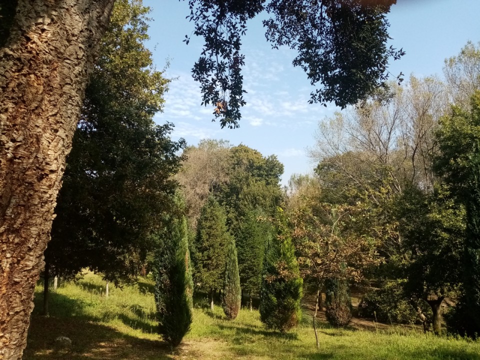 parque.jpg