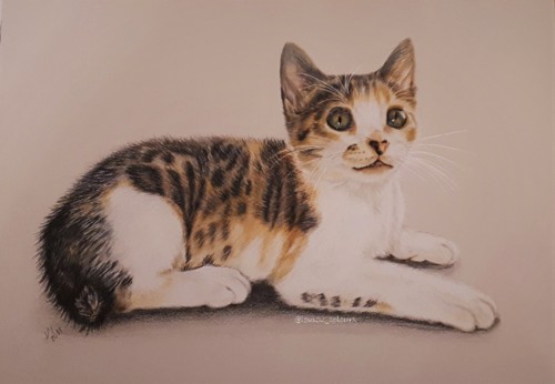 20181206_192626 (3).jpg 20181206_192626 (3).jpg