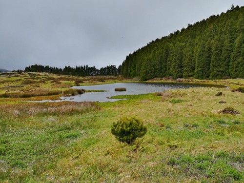 COPYRIGHT: O RAPAZ DAS ILHAS