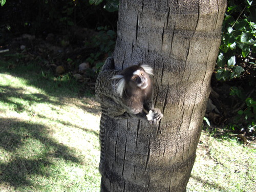 IMGP3554.JPG IMGP3554.JPG