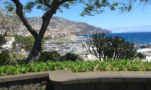funchal.jpg