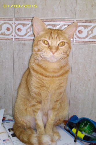 estudar03.jpg estudar03.jpg