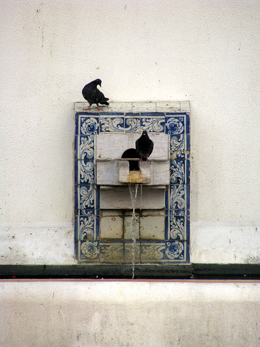 Sâo Vicente de Fora3