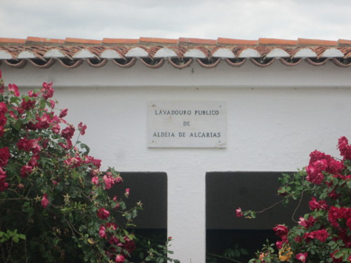 IMG_5774.JPG IMG_5774.JPG