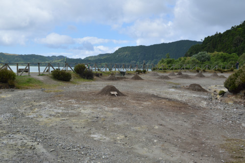 Açores_cam (91).jpg