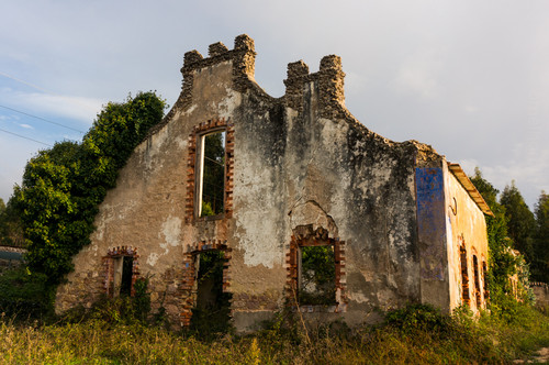 DSC08873.jpg DSC08873.jpg