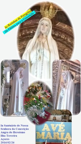 As florinhas da Peregrina