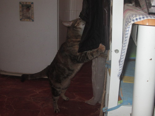 IMG_2194.JPG IMG_2194.JPG