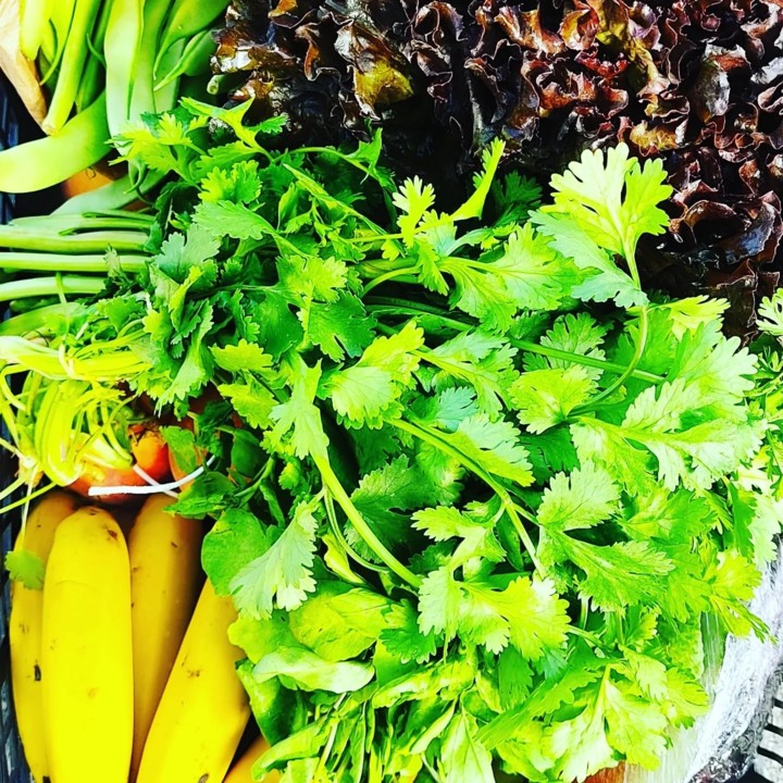 225520853_2077576139048803_716222770421935509_n.jp