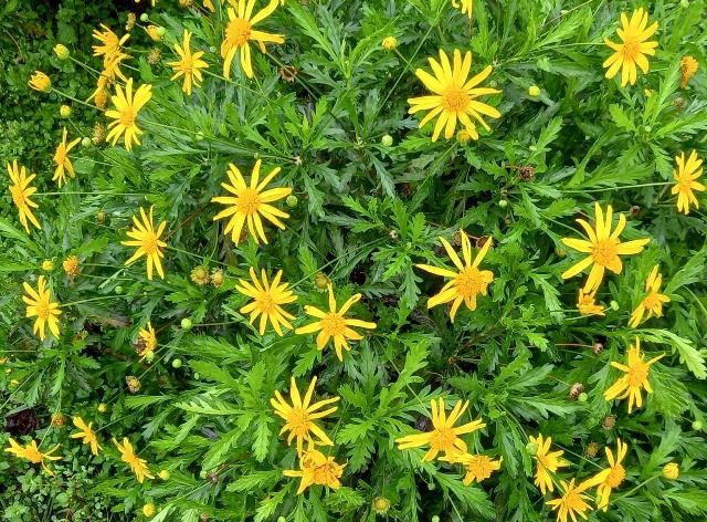 20220323_084457 - Cópia.jpg