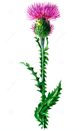 Captura de ecrã 2020-04-23, às 18.33.15.png