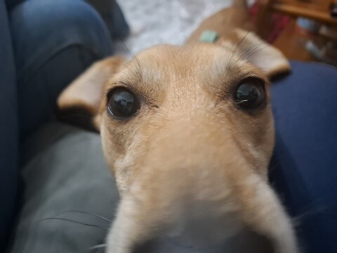 22a_Aniversário_Lila (4).jpg