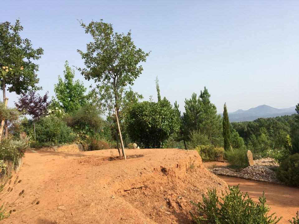 limoeiros horizonte.JPG