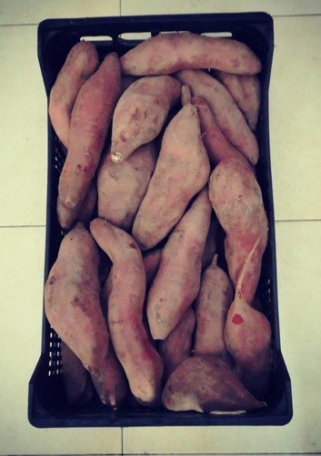 53712780_1321293908010367_4907186013274636288_n.jp 53712780_1321293908010367_4907186013274636288_n.jp