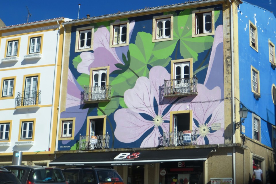 IMG_4111.JPG IMG_4111.JPG