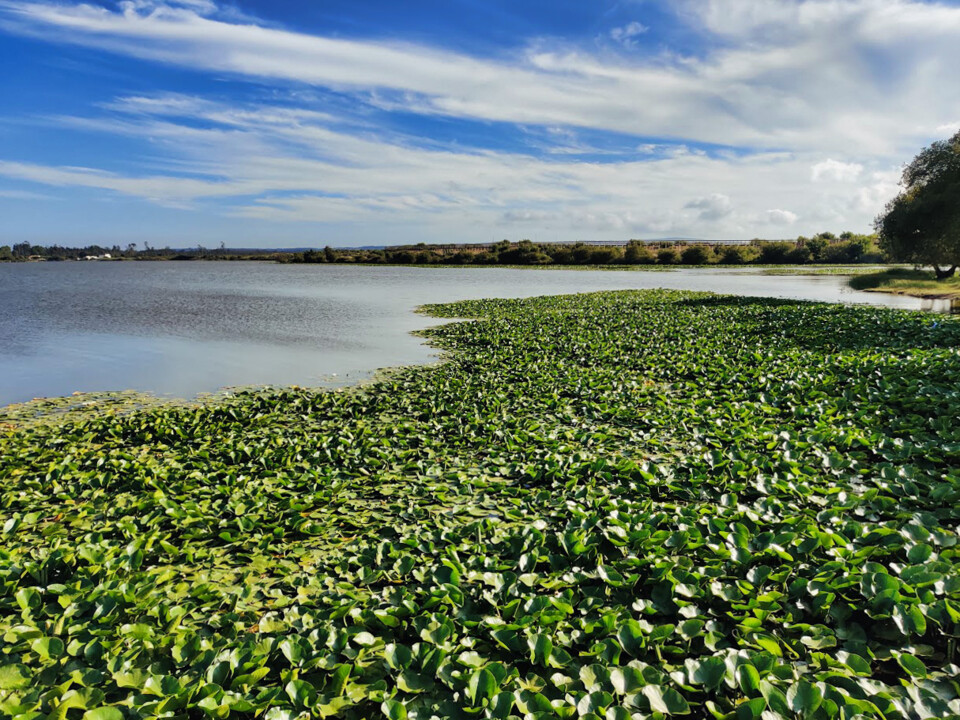 Lagoa quiaios.jpg