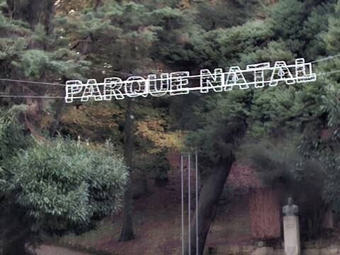 08a_Caminhada_Matinal (28).jpg