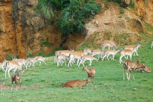 SAM_0494.JPG SAM_0494.JPG