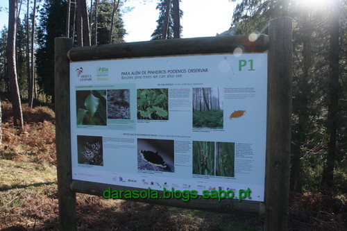 Biodiversidade_Freita_04.JPG Biodiversidade_Freita_04.JPG