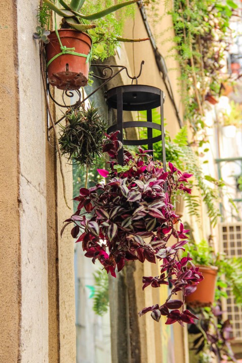 rua da silva 12.jpg rua da silva 12.jpg