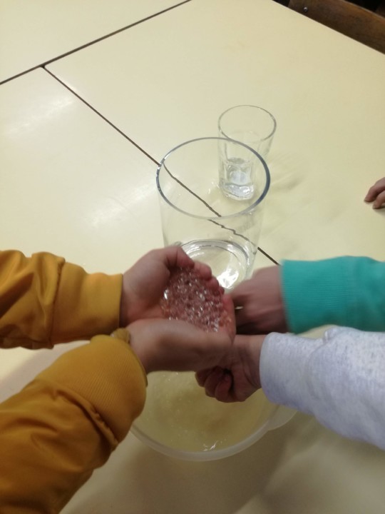 IMG_20200130_153129.jpg IMG_20200130_153129.jpg