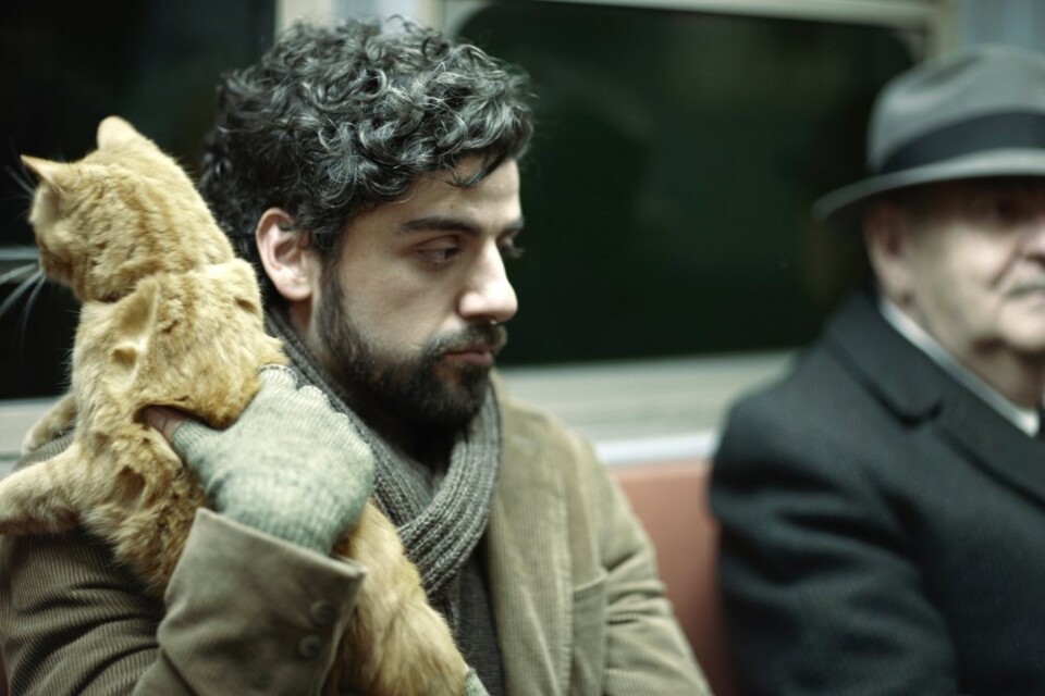 inside-llewyn-davis-2013-005-llewyn-holding-cat-on