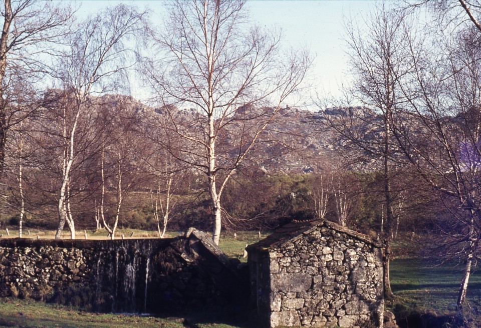 675 - 2 -  moinho lamas.jpg