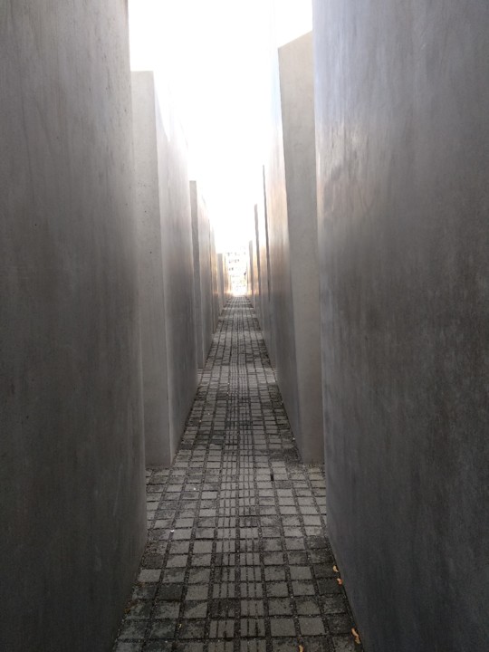 IMG_20181024_151918.jpg IMG_20181024_151918.jpg