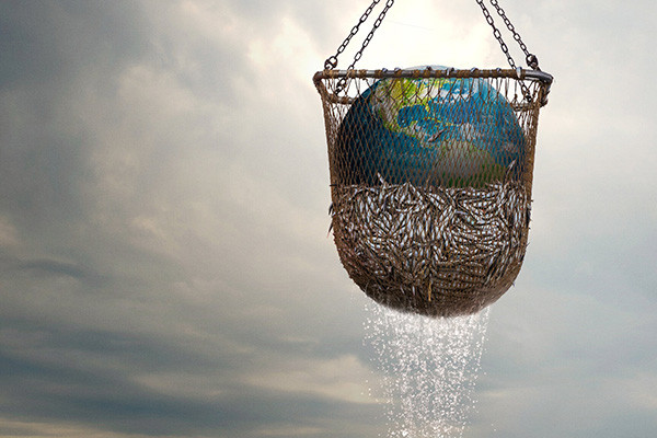 seaspiracy.jpg seaspiracy.jpg