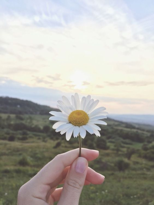 Que bonita a forma de quem tem substância.@sameas