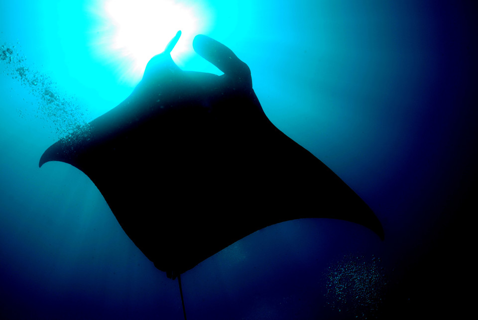 Barbara Veiga_Maldives_6925.JPG