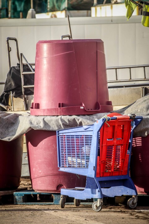 ericeira porto 8.jpg