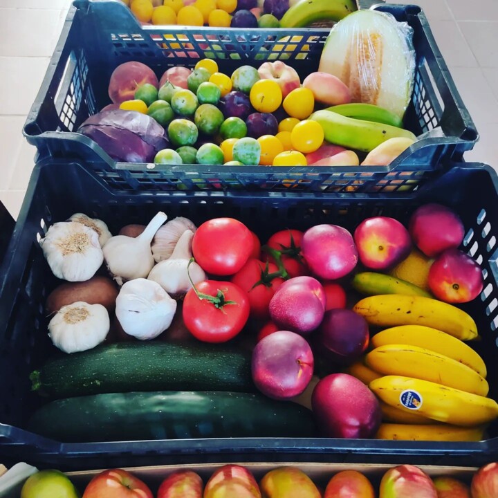 362613469_661839072640173_9180972769230021911_n.jp