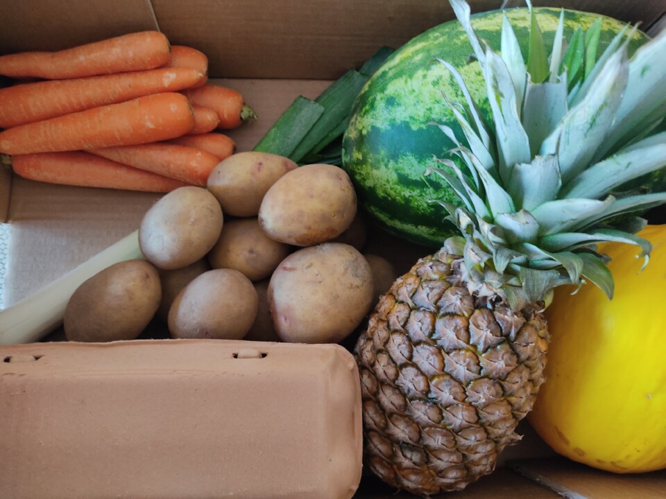 301915502_2394280744045006_4109455012114650479_n.j