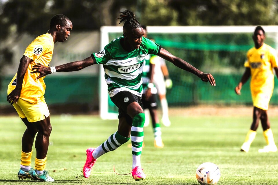 Sub-23  Portimonense VS Sporting CP