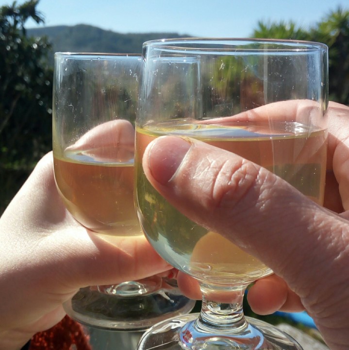 IMG_20210214_135449.jpg IMG_20210214_135449.jpg