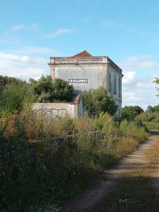 Não me canso disto Azaruja4.jpg