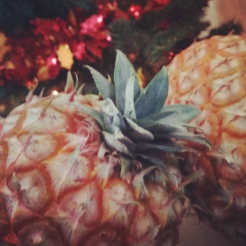 24993485_1007882642684830_4360988943139714454_n.jp