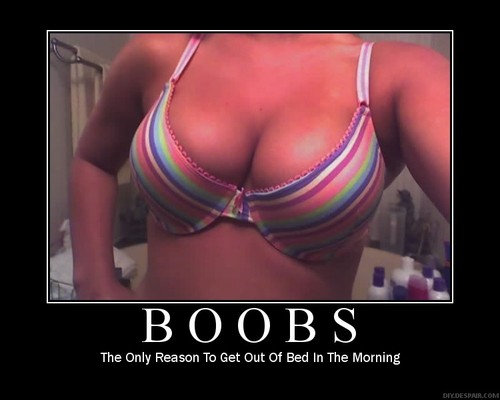 Boobs