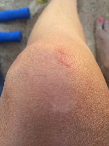 13600120_1129107210474186_7920367180748034266_n.jp