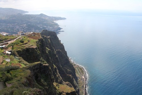 IMG_3246.JPG IMG_3246.JPG