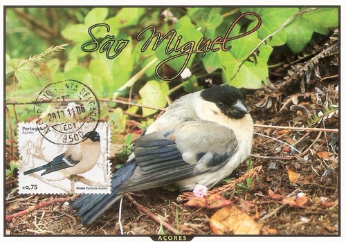 pm_priolo_acores__marcadia_aeroporto_pontadelgada_