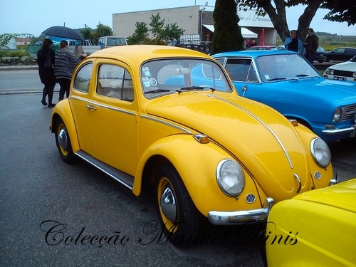 Rota do Moscatel Favaios 2015 (178).jpg