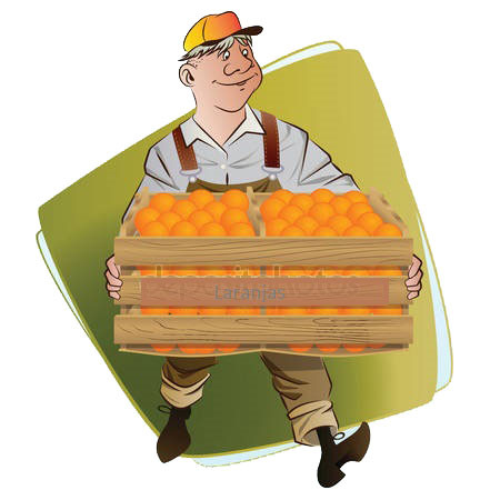 laranjinha4.jpg laranjinha4.jpg