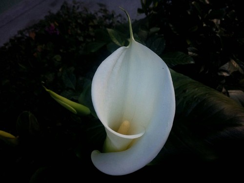 17240608_1253897664695882_8826759297108546111_o.jp