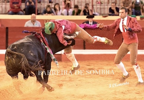 BARREIRA DE SOMBRA06-15-DSC_5235.JPG