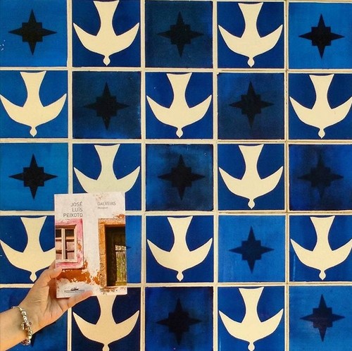 Galveias em Brasília.jpg