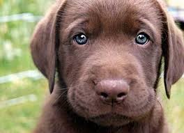 imagesCAKQRQ4W.jpg imagesCAKQRQ4W.jpg