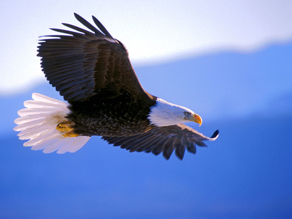 Viagem de reconhecimento....jpg