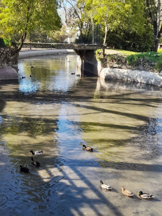 273619242_4959780330755646_7043951791850539482_n.j